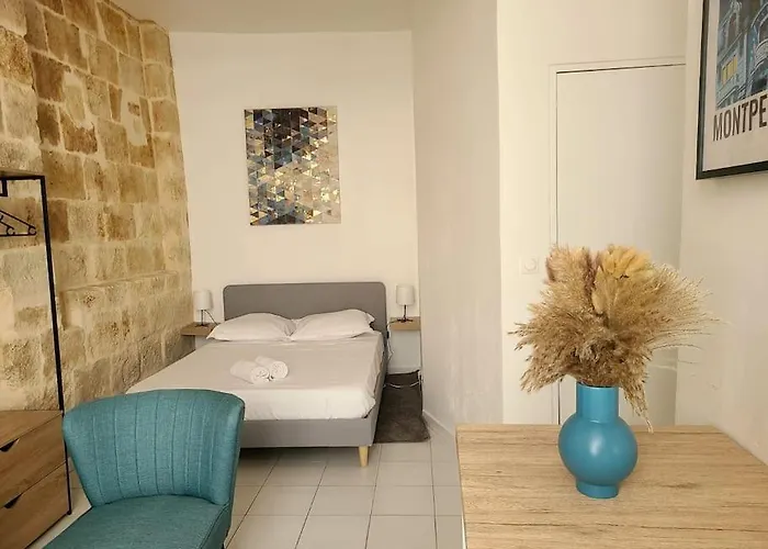 Cosy Et Calme - Centre Historique Apartment Montpellier